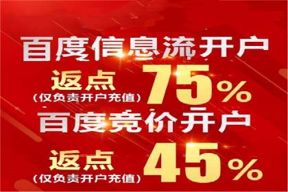 行业领先SEM服务公司案例研究